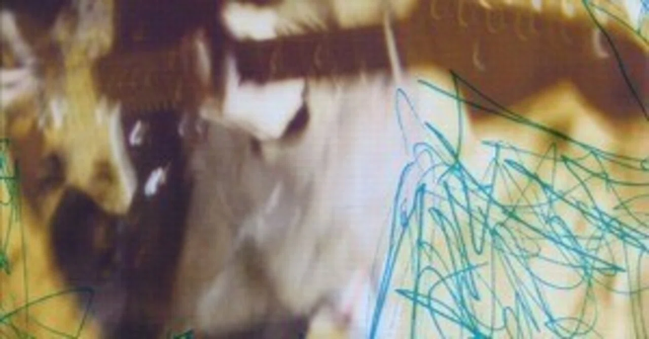 Freaks Of Go Go Spectators 2 -Sell Out-/ SPIRAL LIFE｜スノーウィの戯言