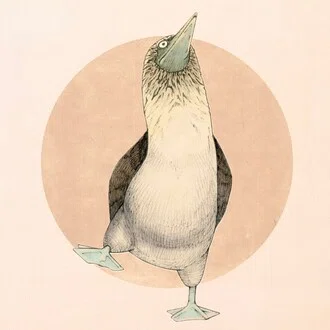 shino