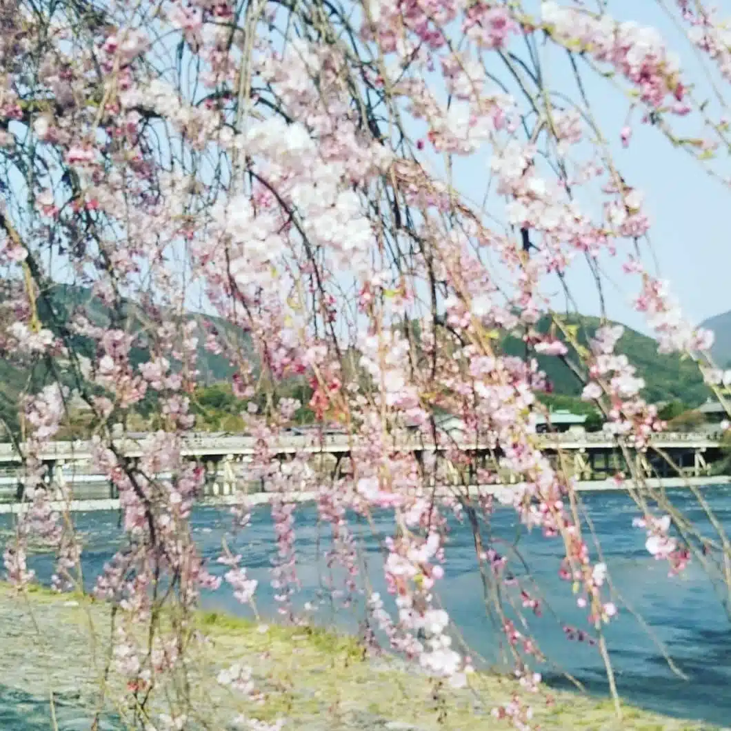 京のおやかましさん