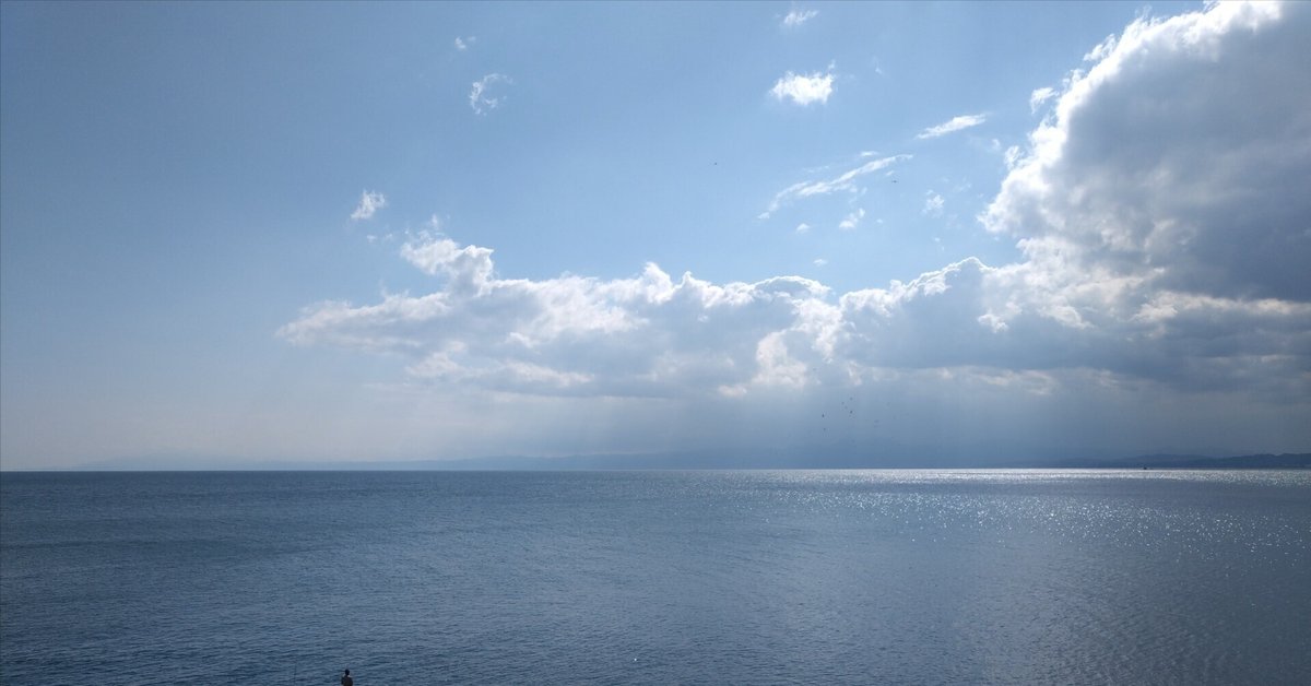 江ノ島、ねこ、探して｜ともはる♭