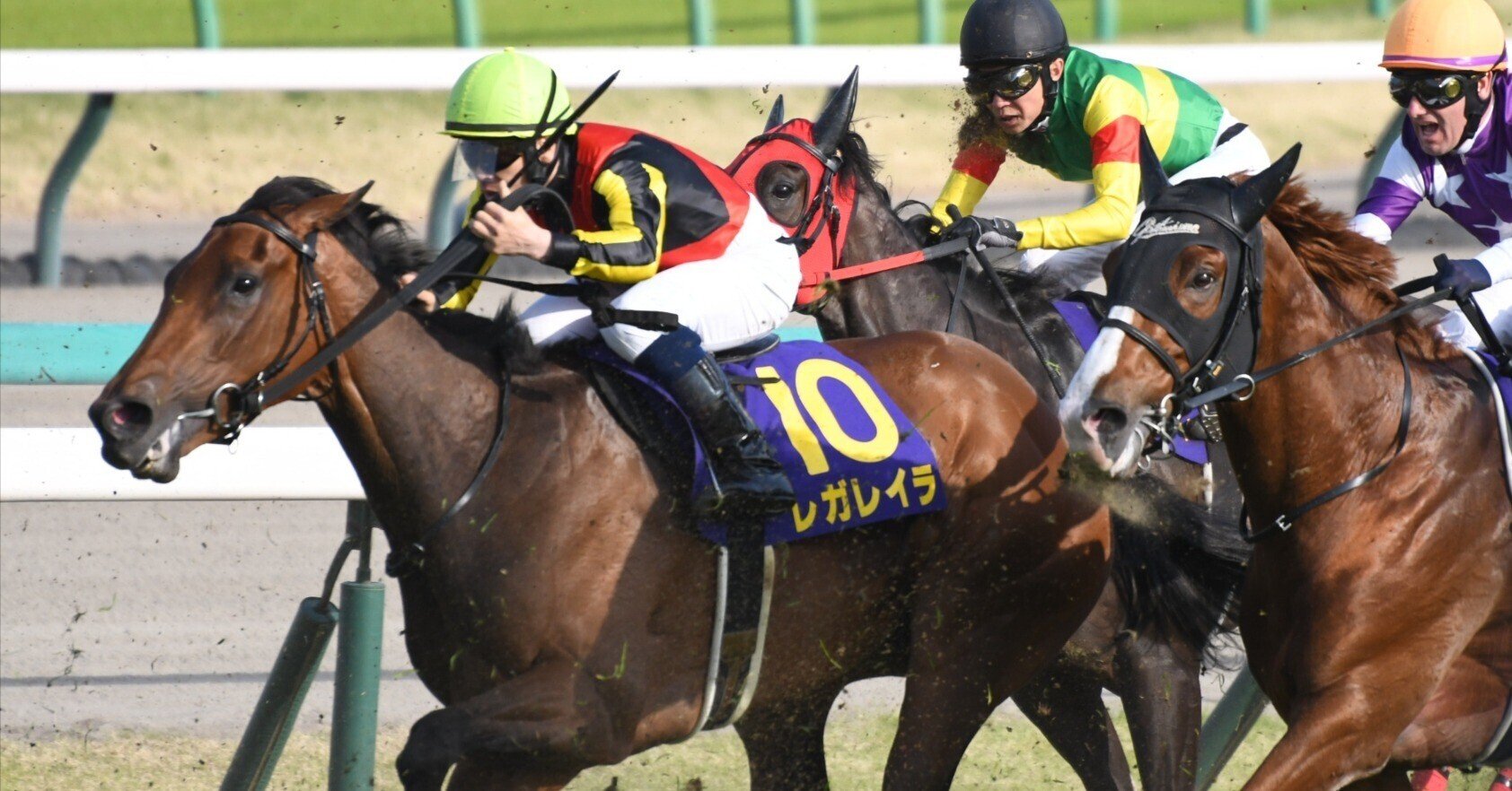 サンデーサラブレッドクラブ 2024募集馬(2023年産)AI馬体診断 サンデーサラブレッドクラブ 2024募集馬(2023年産)AI馬体診断
