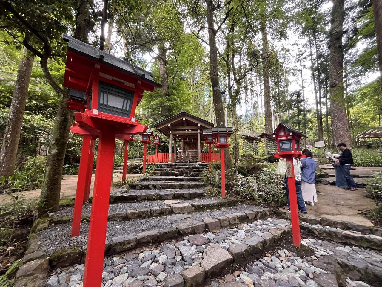 京都観光】源氏物語ゆかりの地① 〜平安時代から残る神社仏閣編