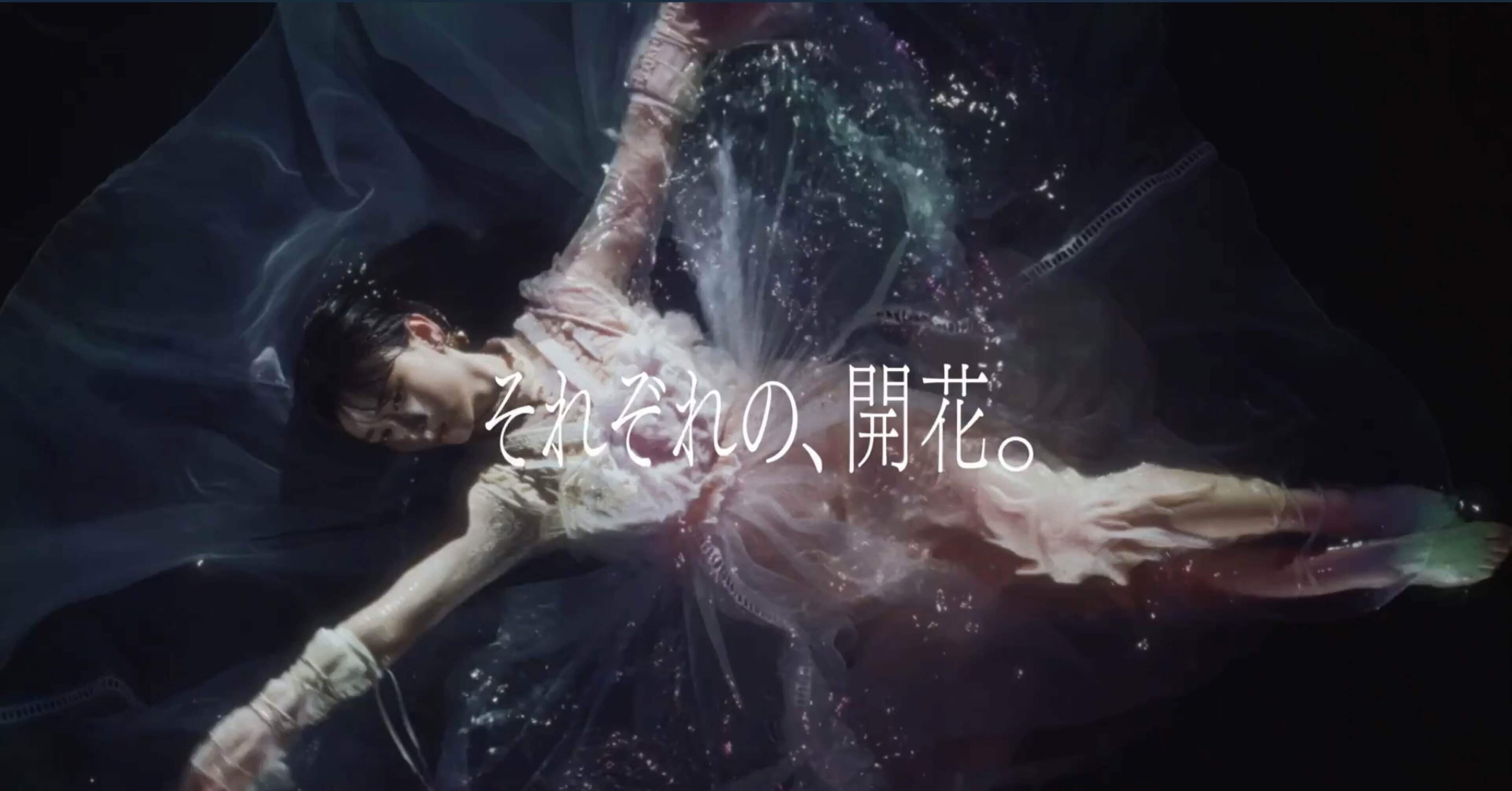 e5f306ee5ed2033dfdc52711fec2bd