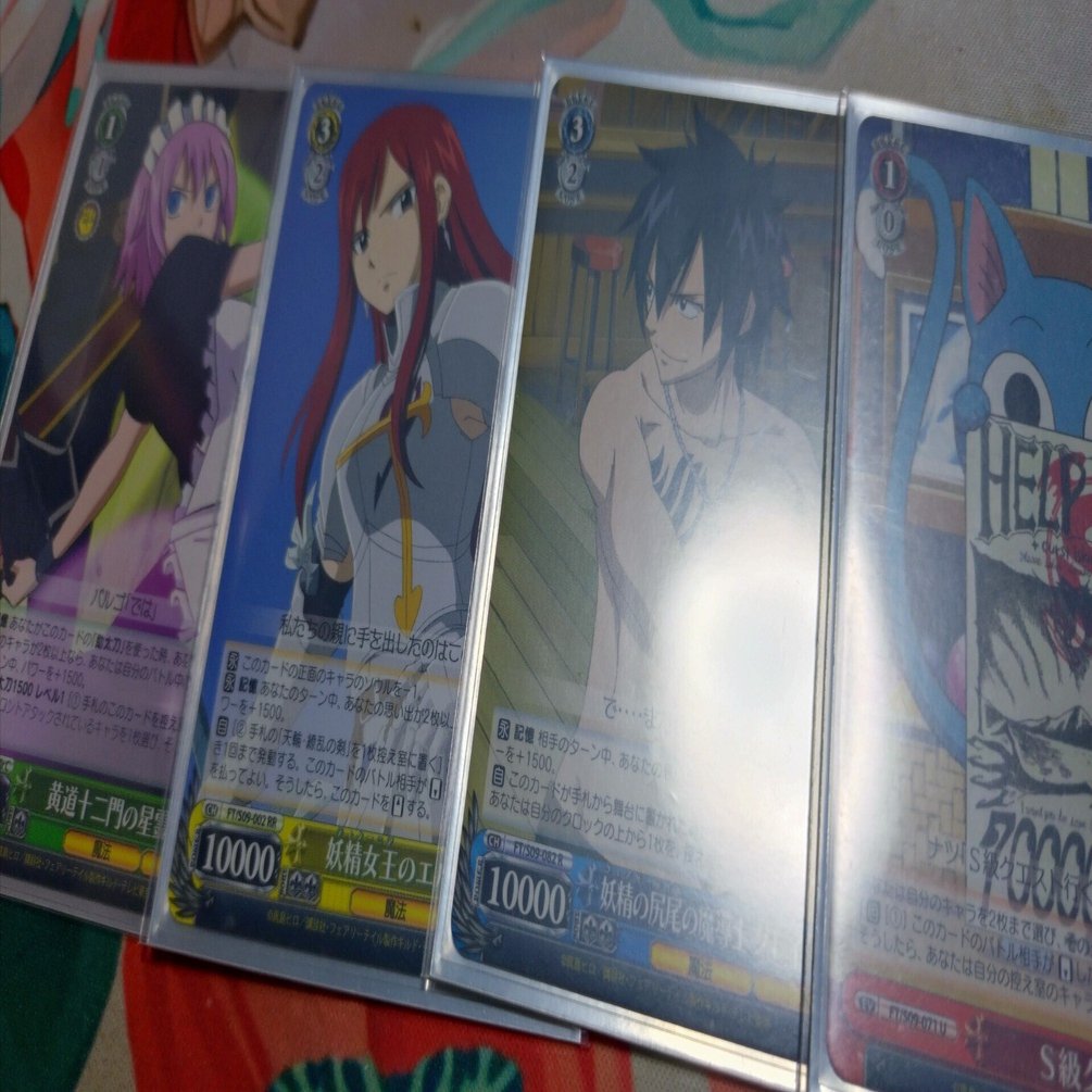 WS】FAIRYTAIL｜にぱっくまWS用