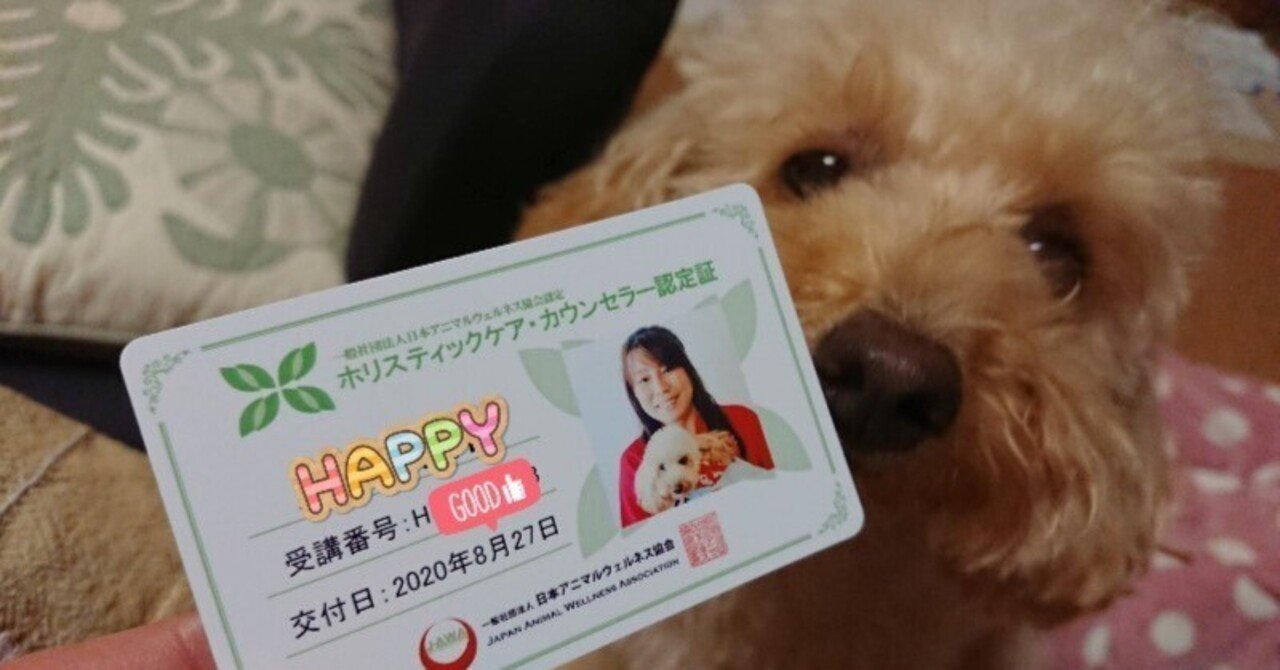 ホリスティックケア・カウンセラーなど5冊セット ヴィンテージ 通販本・雑誌・漫画 - ホリスティックケアカウンセラー