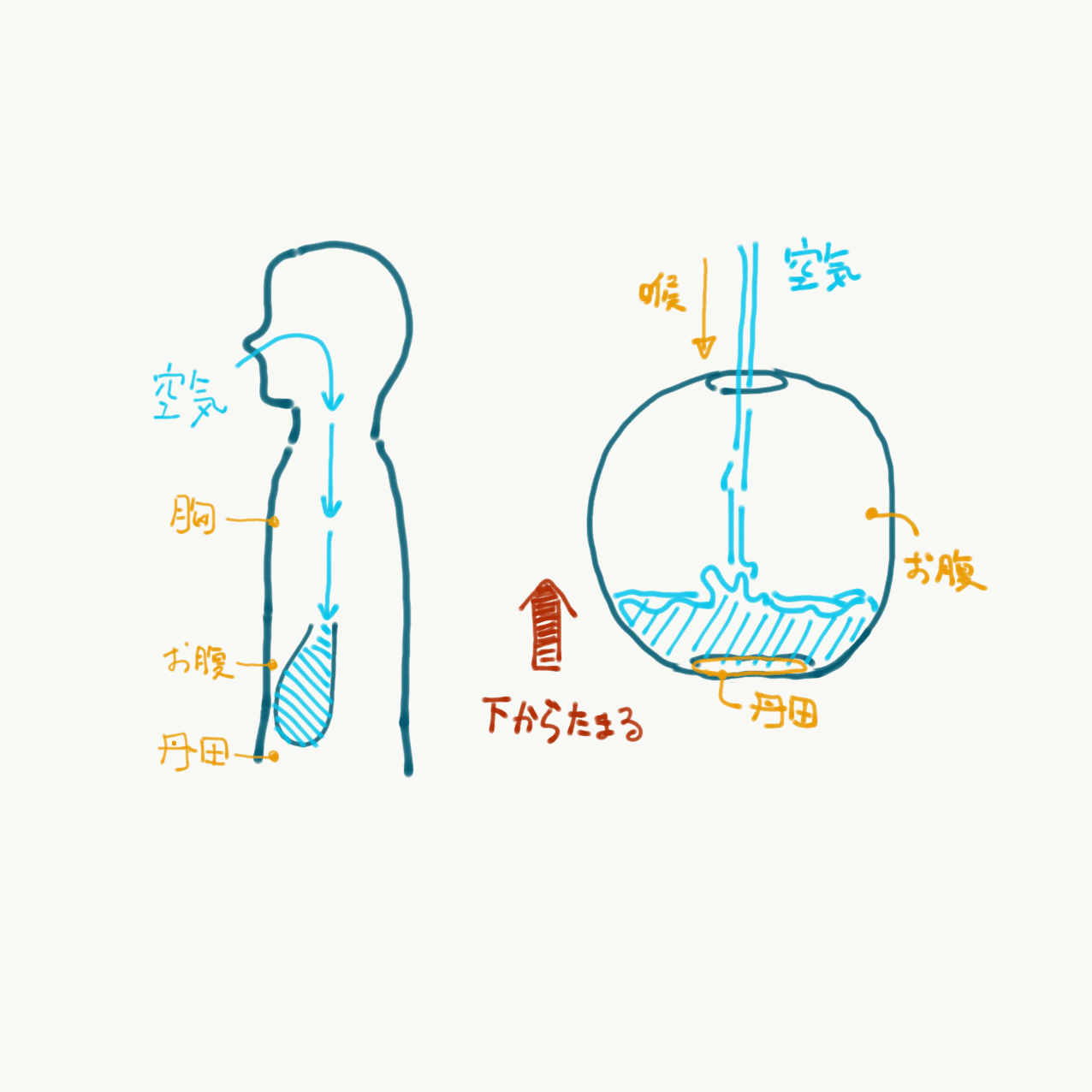 東洋武術によくある丹田を意識した呼吸の利点とは？｜きよし｜忍者な