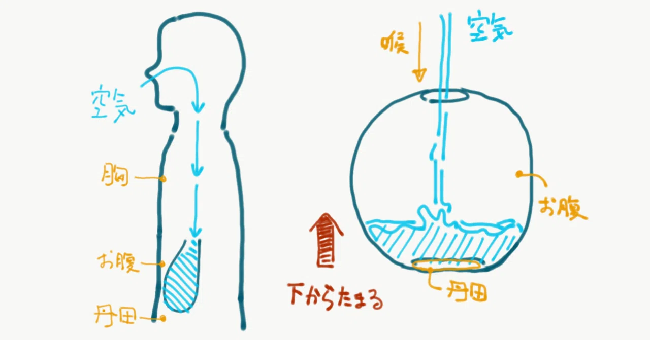 東洋武術によくある丹田を意識した呼吸の利点とは？｜きよし｜忍者な 