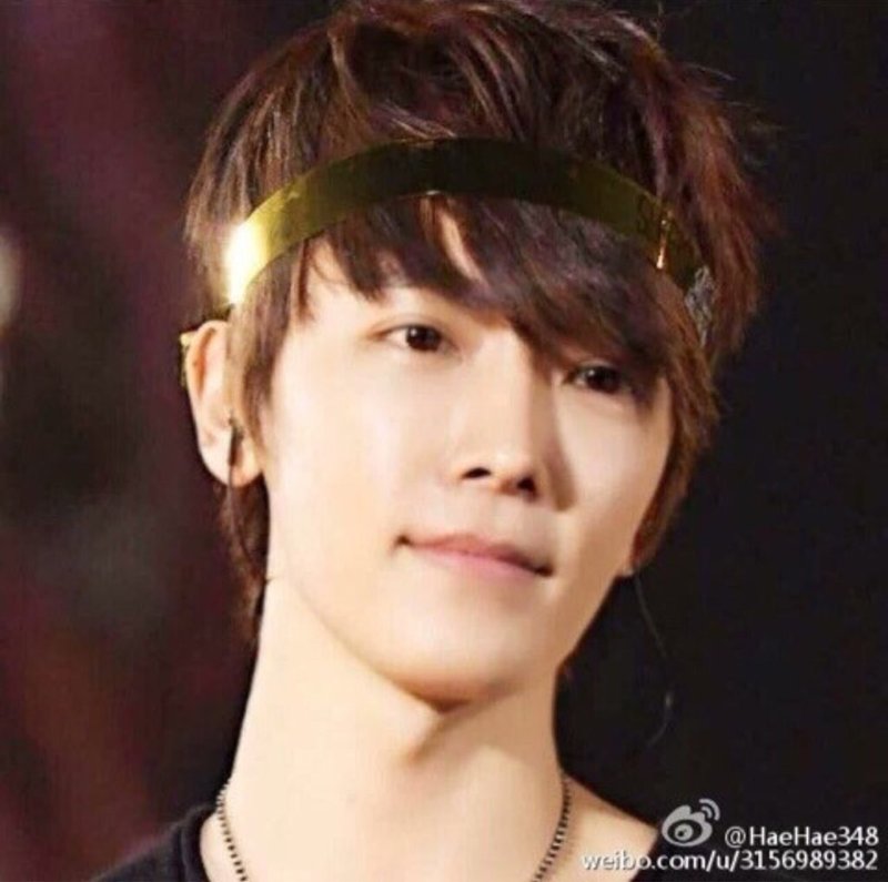 ドンへちゃんの魅力 顔編その1 銀海 Note