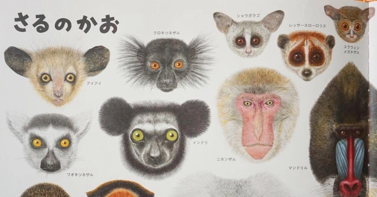 いきものづくし ものづくし』原画展（福音館書店・刊）｜なかの真実
