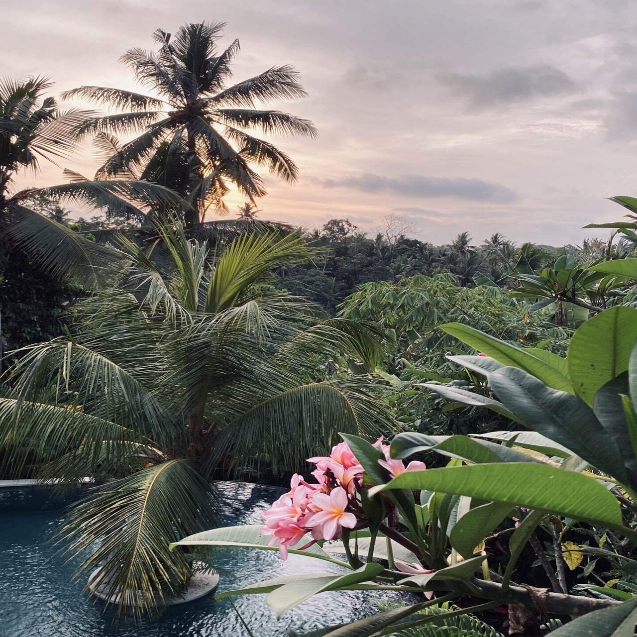 分水嶺】という美語｜禄ROU(るう) 抹茶のあるウェルビーイングな暮らしを発信