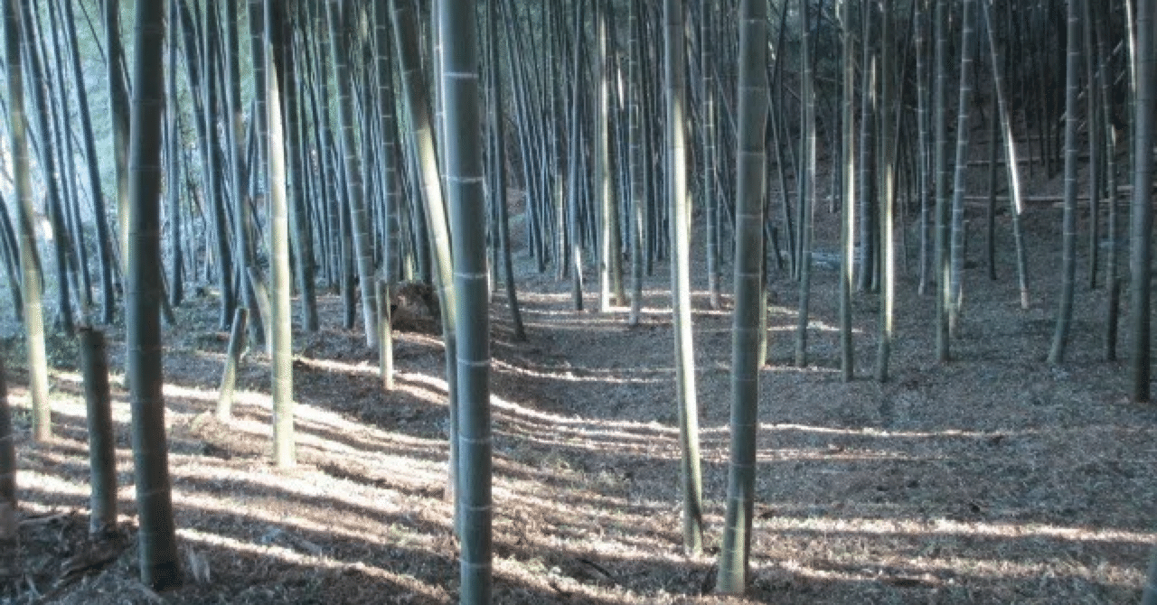 ブックレビュー】川端康成(現代語訳)、ドナルド・キーン(英訳)、宮田