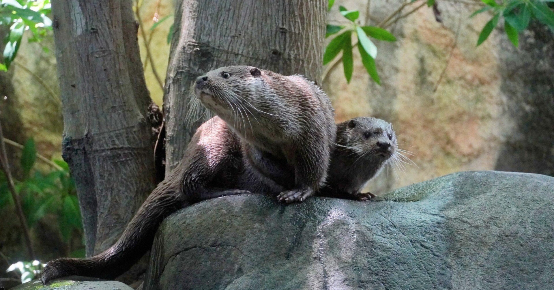 4277e83dfb726e43d1555f2db7de05