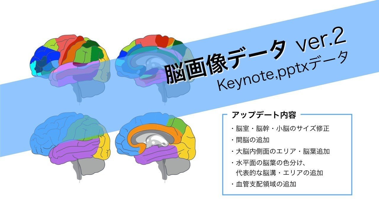 脳画像データ Keynote Pptx版 こまつようすけ 脳卒中の方とセラピストと一緒に成長する理学療法士 愛知 Note 脳画像データ Keynote Pptx版 こまつようすけ 脳卒中の方とセラピストと一緒に成長する理学療法士 愛知 Note