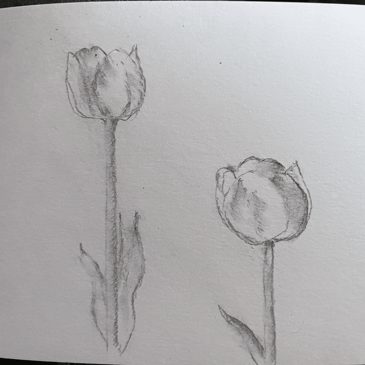 ♯01 デッサン ｜waterlily1978