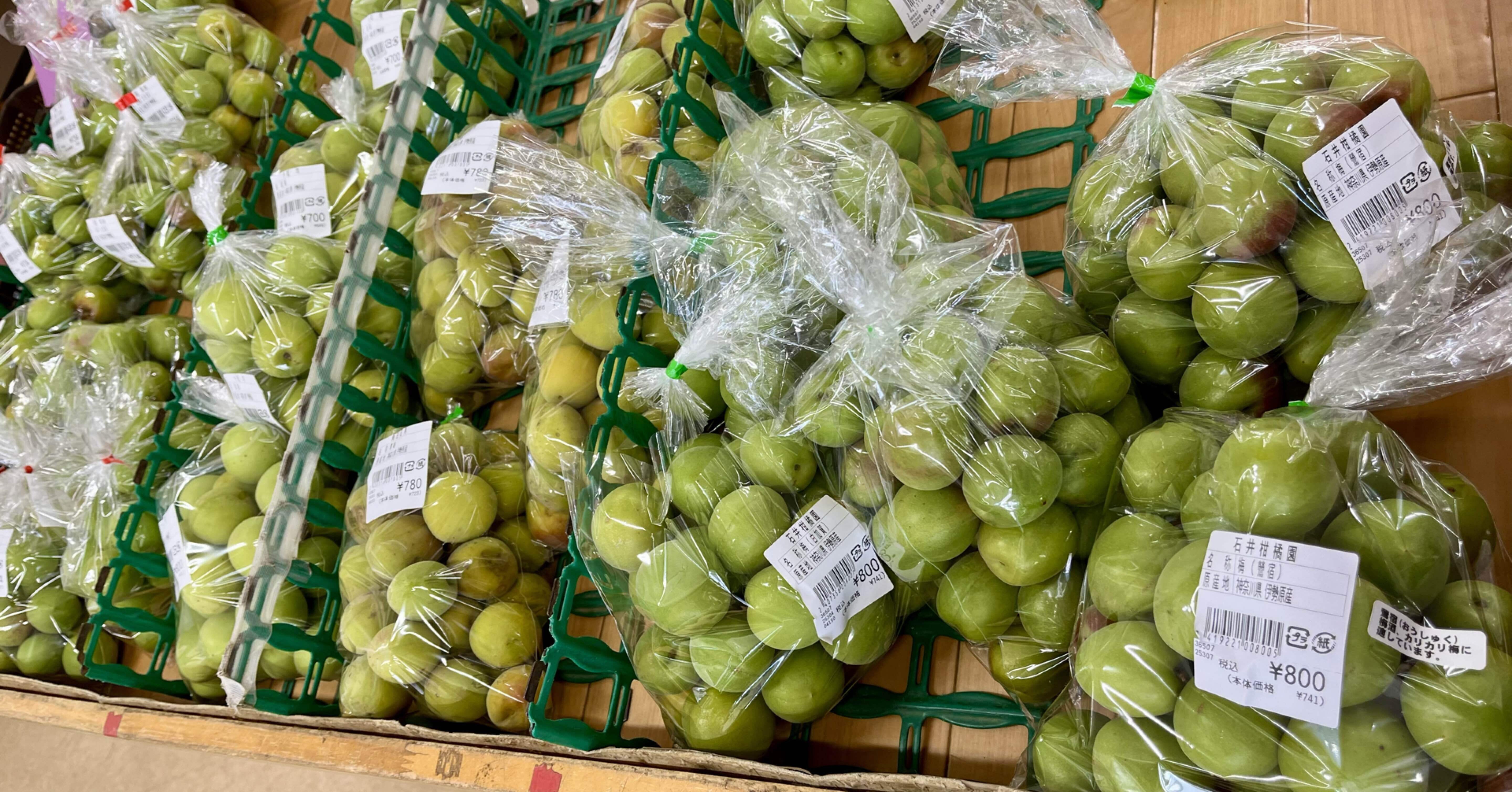 JA伊勢原｢あふり〜な｣で梅を買う〜伊勢原市産鶯宿梅（青梅）でカリカリ