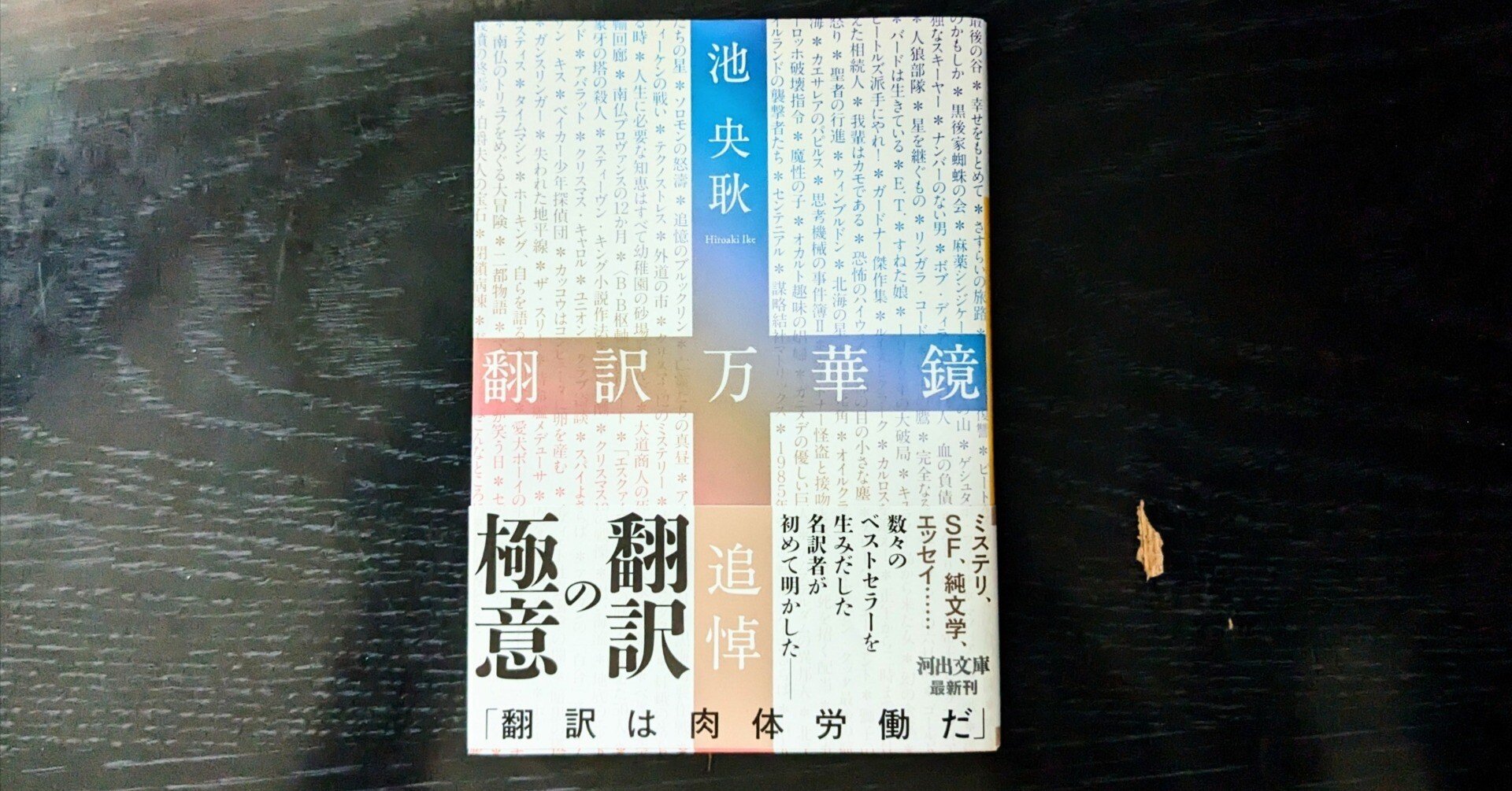 読書日記 池央耿・著『翻訳万華鏡』名翻訳家のエッセイ｜只野成行