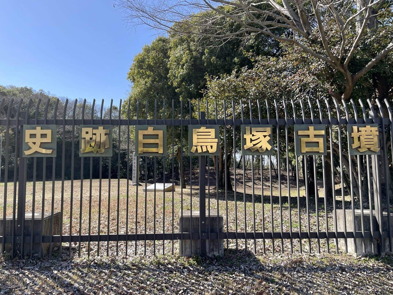 白鳥の伝説 🦢｜hanahanamichi