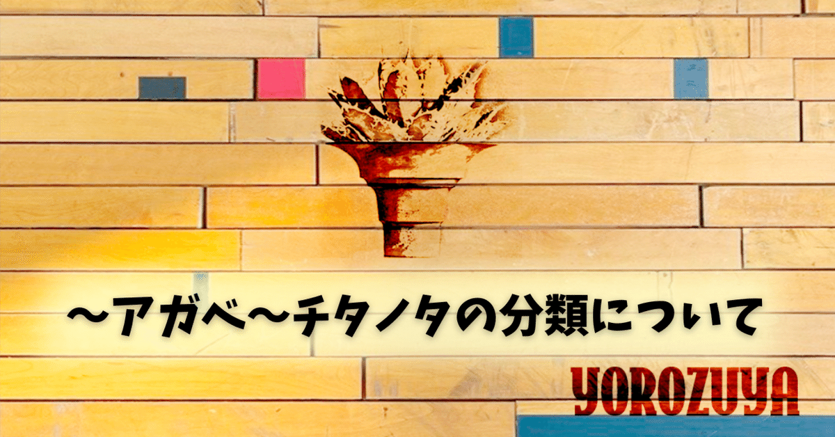 42 アガベ チタノタ コンパクタ 希少 荒棘 ボール 選抜 特選 アガベ