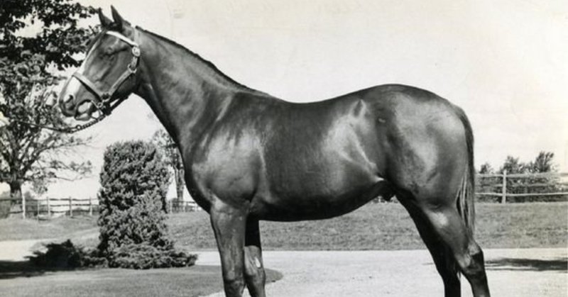 ノーザンダンサーの馬体 永遠の学び 一口馬主マスターb Note