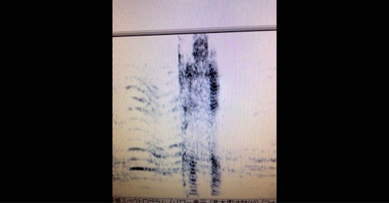 音声解析の心霊写真⁉️ 人の形だ‼️‼️😱💦💦｜中山市朗