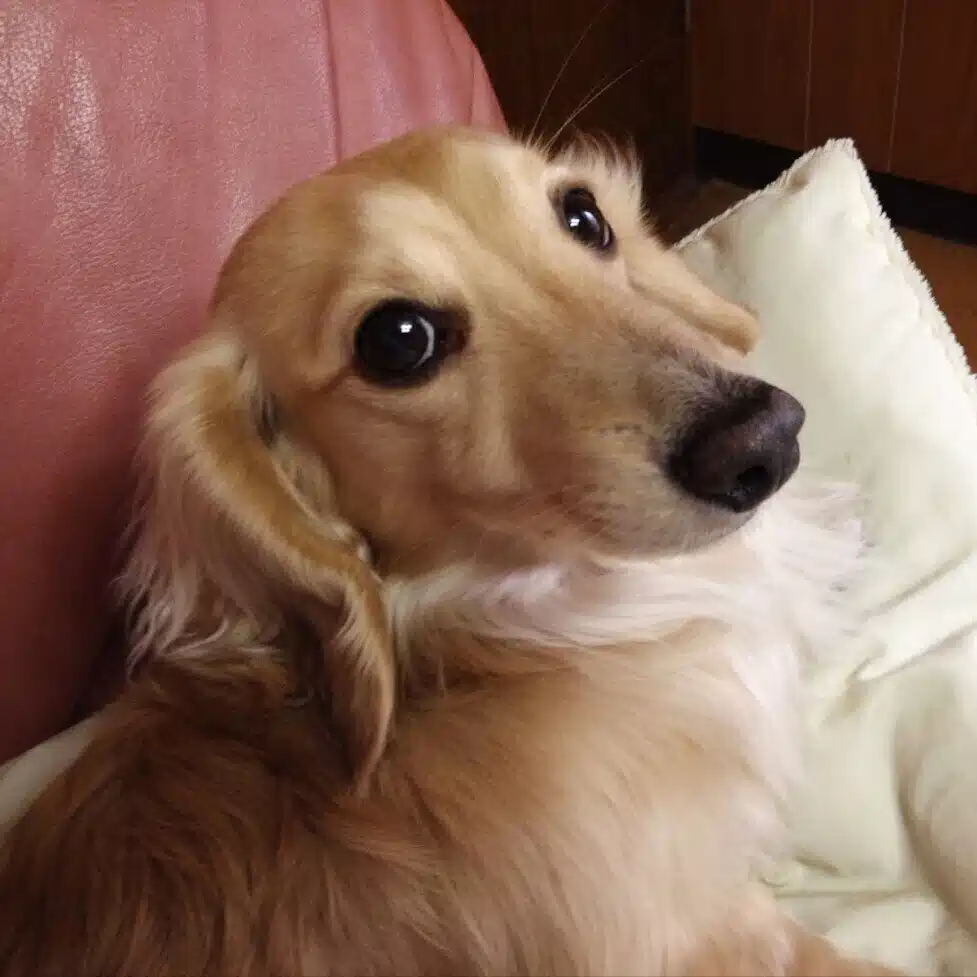 想兼 ヒロ