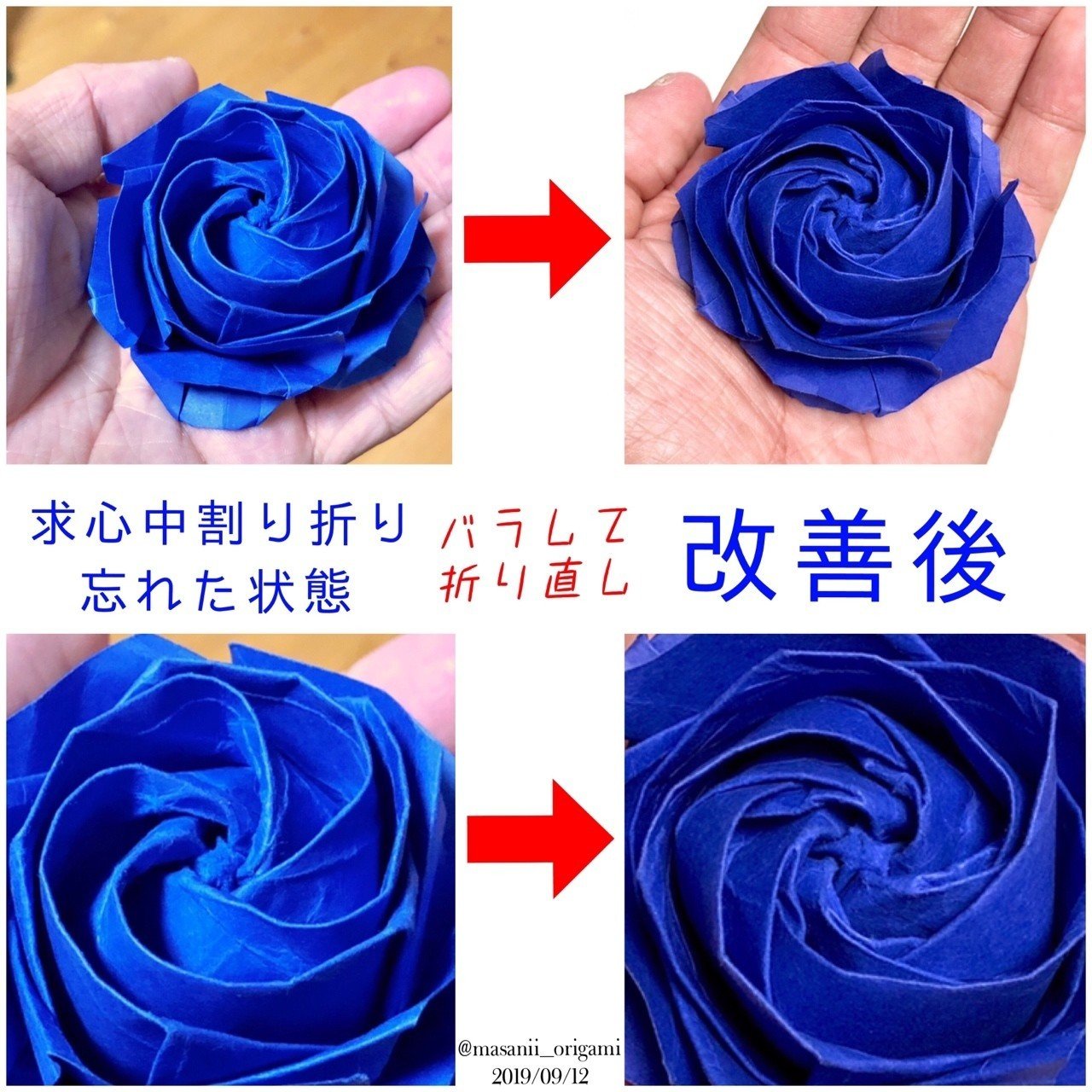 大失敗 から奇跡の生還 ほろ苦デビューの ガーデンローズ まさにぃ Note