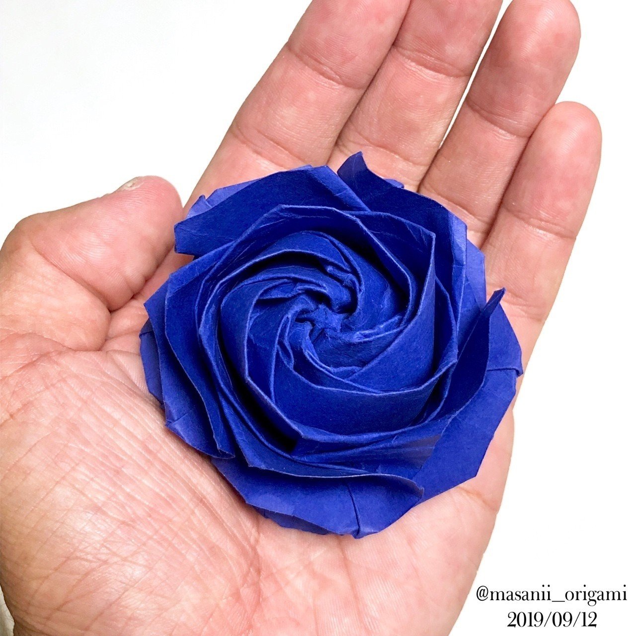 大失敗 から奇跡の生還 ほろ苦デビューの ガーデンローズ まさにぃ Note