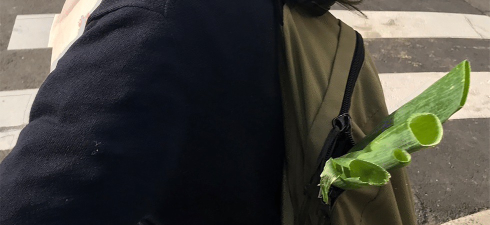 わたしはネギになりたい。｜おくまほ（Maho Okumura）