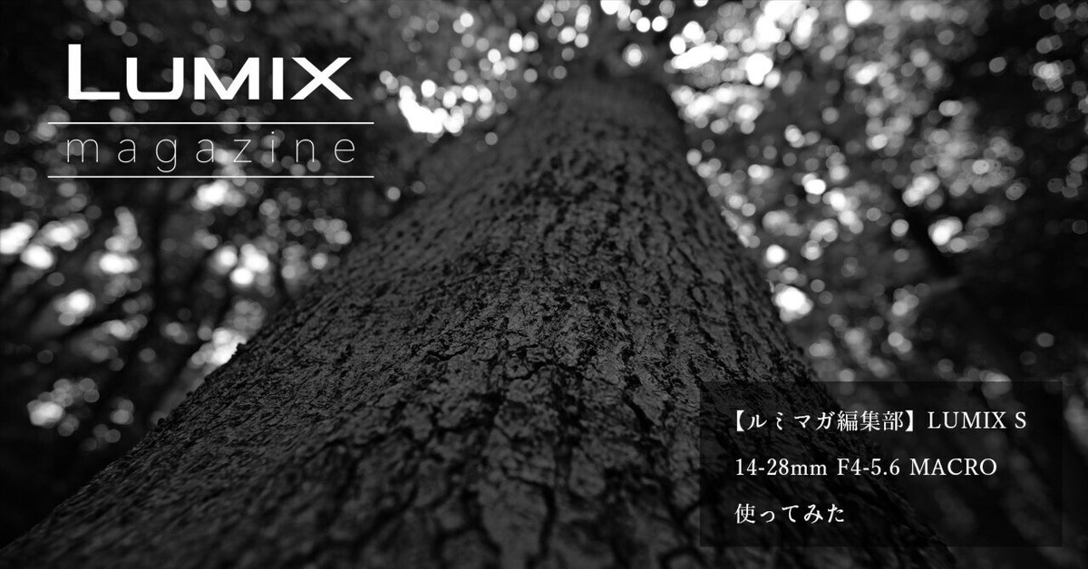 ルミマガ編集部】LUMIX S 14-28mm F4-5.6 MACRO使ってみた ルミマガ編集部】LUMIX S 14-28mm F4-5.6 MACRO使ってみた