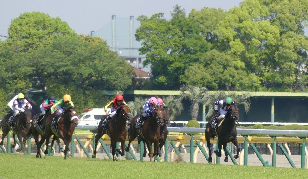 JRAハリボテエレジー