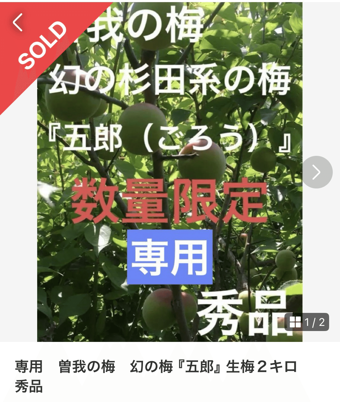 曽我の梅 幻の梅『五郎』生梅10キロ 秀品 （梅干し販売始め