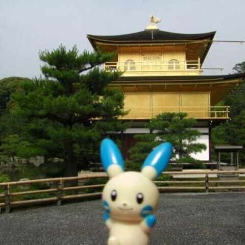 Kasadera@ポケモンキッズと旅する