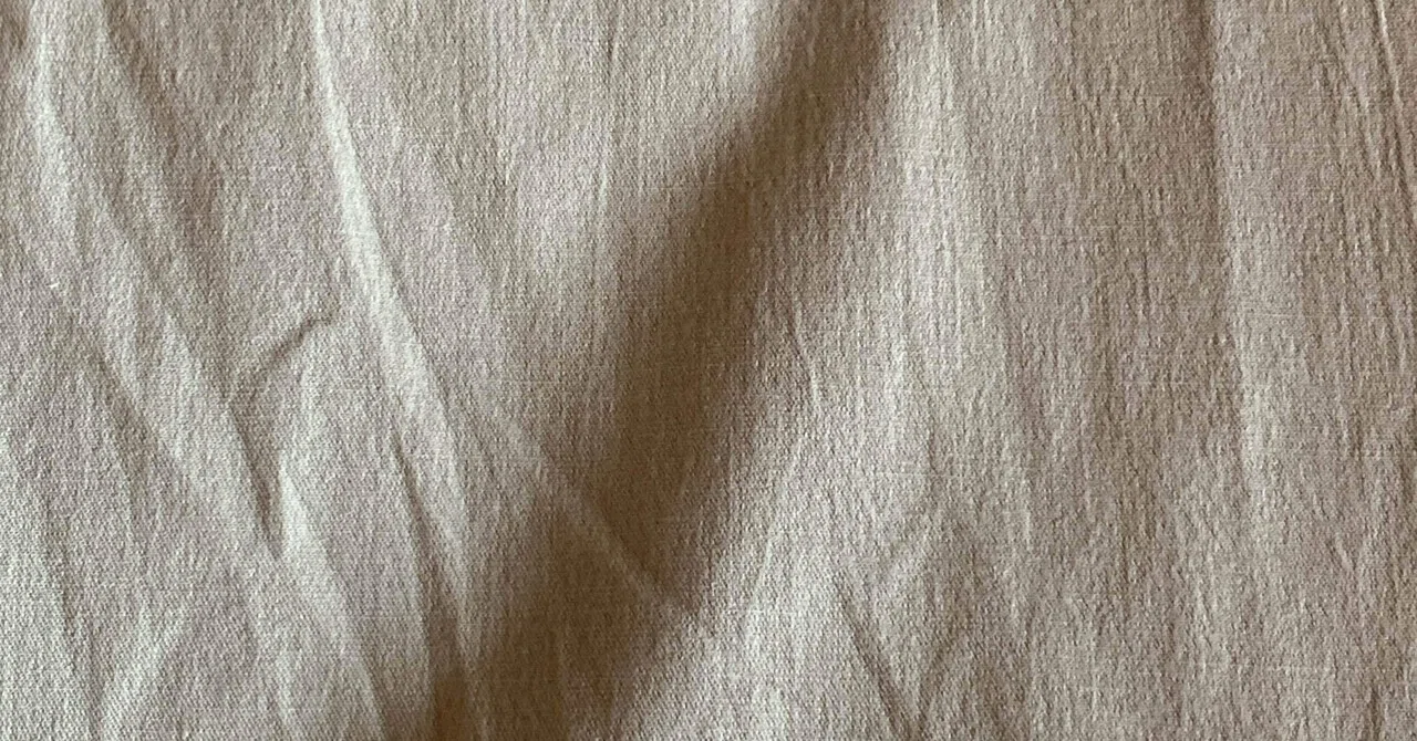 皺 小説|Hecto