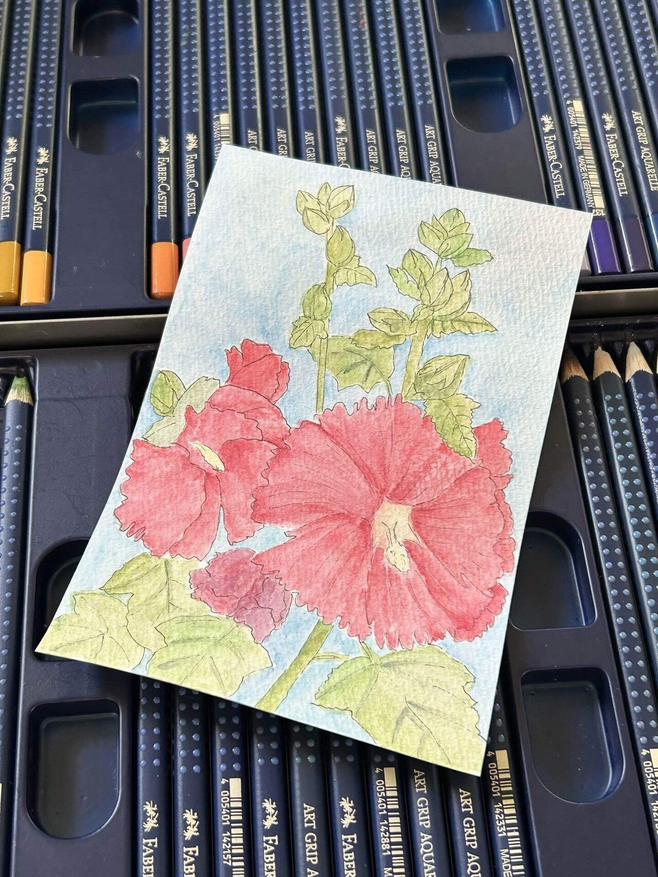 立葵@水彩色鉛筆｜blanche