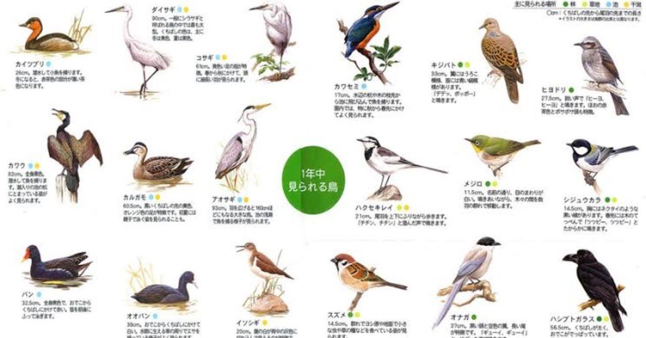 第535回 難解な野鳥の名前の読み方 3 翆野 大地 Note