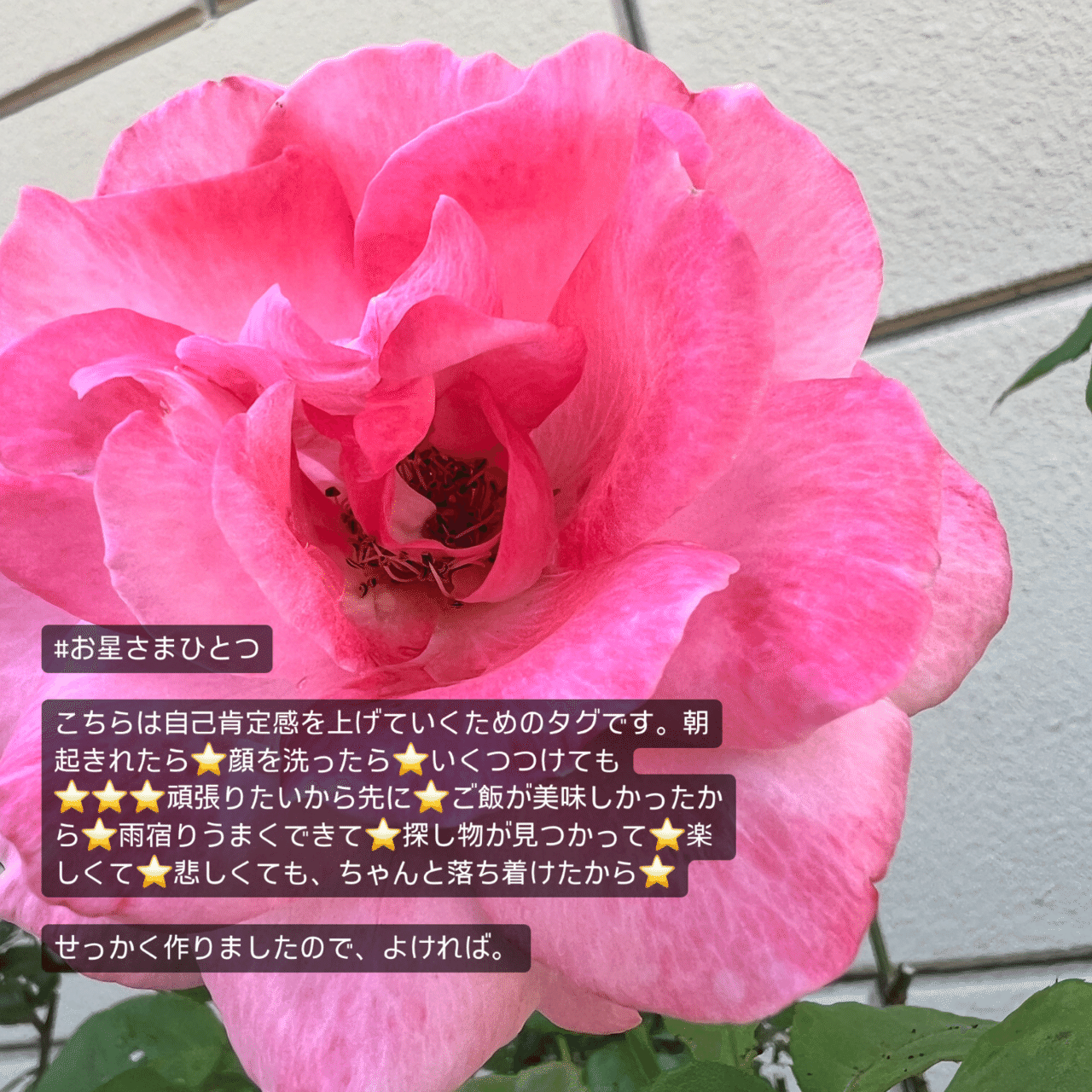 6/8の更新〜 https://marikawriting.wordpress.com/2024/06/08/6-8%e3%80%81%e6 ...