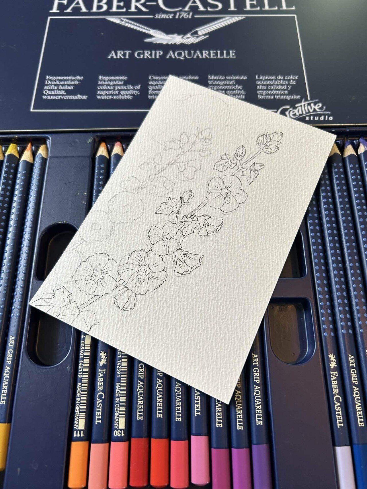 立葵@水彩色鉛筆｜blanche