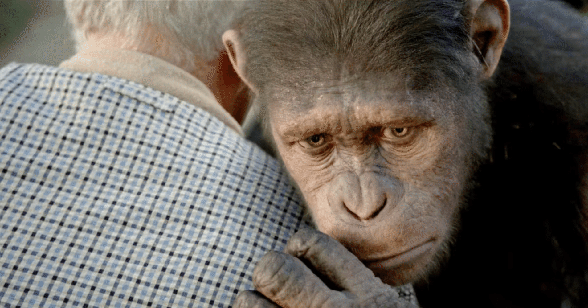 addar 猿の惑星 「PLANET OF THE APES Conelius コーネリアス