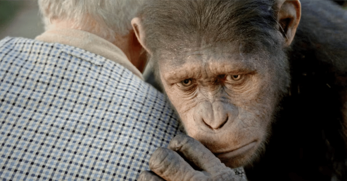 猿の惑星 Planet Of The Apes コーネリアス像 猿の惑星 Planet Of The Apes コーネリアス像 一気に観てしまう