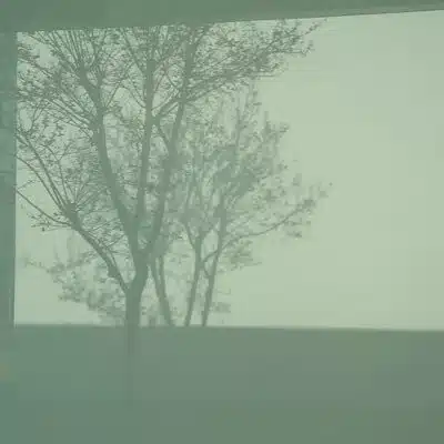 清水ろか