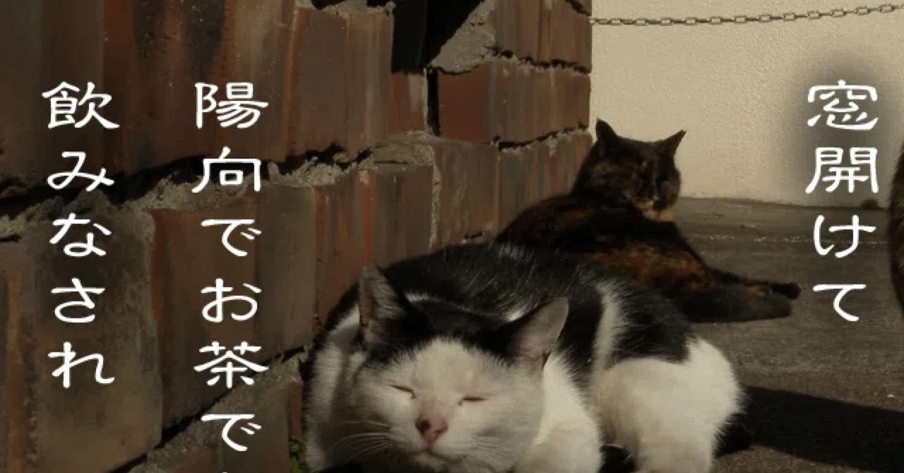 見出し画像