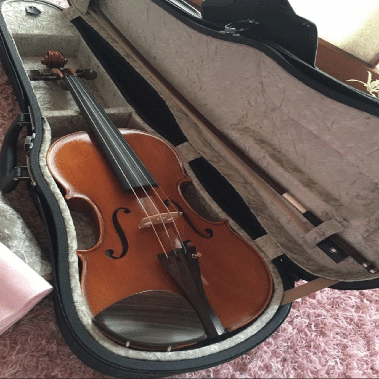 楽器のお値段〜私のバイオリン🎻①｜高月香里