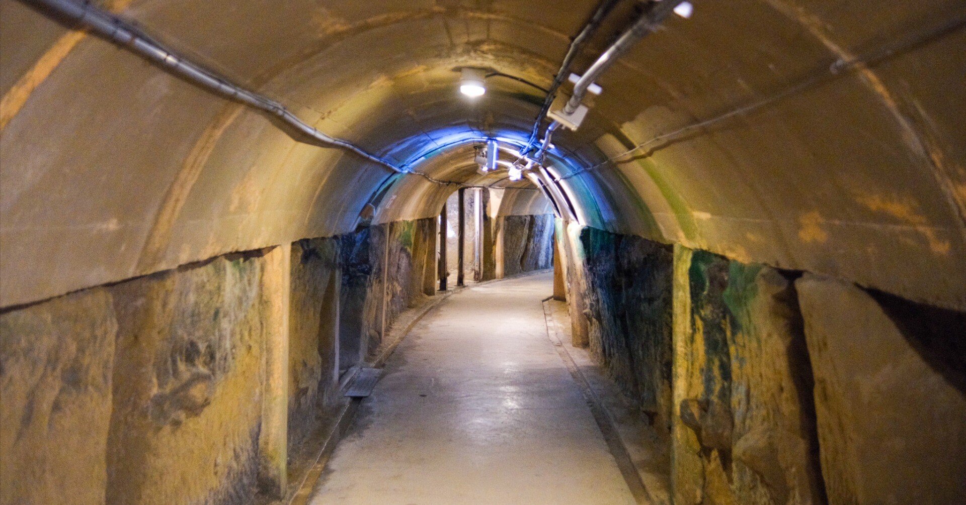 a5b91c2f09040cf081b93673664640