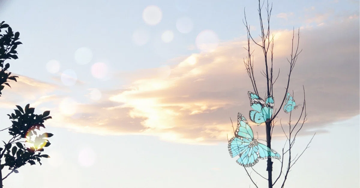 運命の花を見つけた チョウは青い空を舞う｜chihiro?一生勉強一生青春 