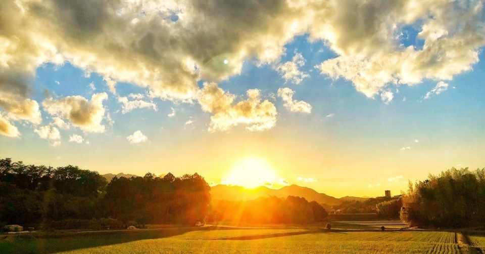 西の村の未確認生命体 Hiroki Note