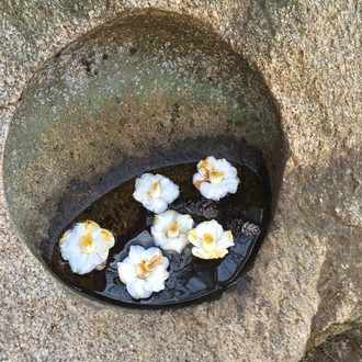 この春 とうに死んでるあなたを探して 筑摩書房刊 発売しました 榎田 楽屋 Note