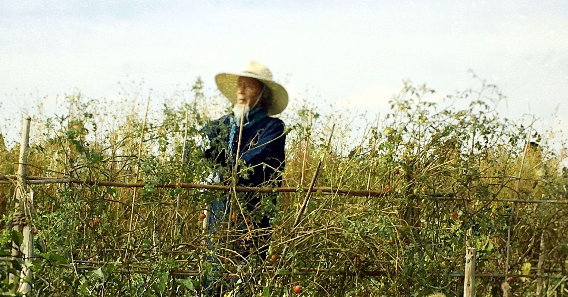 川口由一さん〈前編〉 vol.1 〜愛（うつく）しい人｜makiLilia