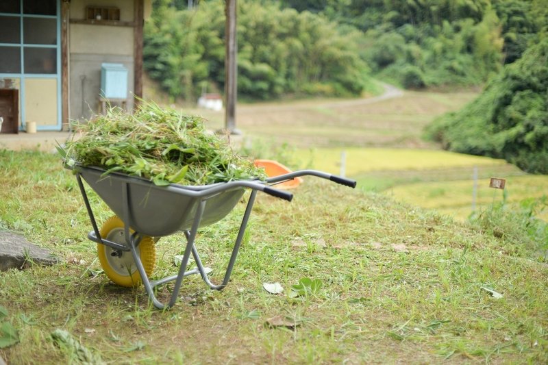 田舎のリアル 今年も書きます草刈りのお話 くらしアトリエ 地域と暮らしの発信 Note 田舎のリアル 今年も書きます草刈りのお話 くらしアトリエ 地域と暮らしの発信 Note