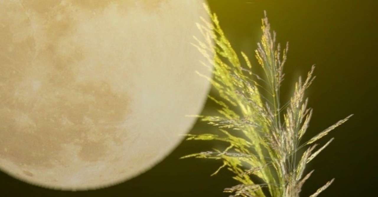 十五夜 中秋の名月 二十四節気 白露 Madoka 香人 Note