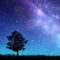 空の星